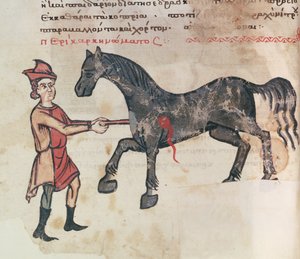 Ms Grec 2244 fol.37v Operando em um cavalo de Greek School