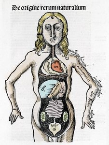 Secção do Corpo Humano - in "Margarita Philosophica" de Gregor Reisch (1467-1525), Bale 1517.