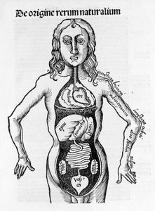 Secção do Corpo Humano - in "Margarita Philosophica" de Gregor Reisch (1467-1525), Bale 1517.