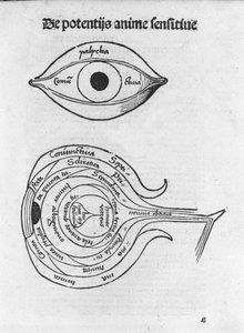 Estudo do olho do homem. Quadro anatómico de "Margarita Philosophica" de Gregor Reisch (1467-1525), Bale 1517.