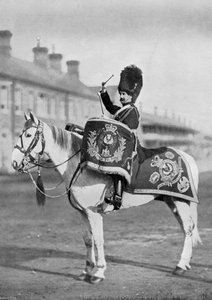 Ameixa Duff, o cavalo de tambor dos Royal Scots Greys, 1896