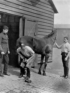 O Ferrador-major da Guarda Real do Cavalo, 1896.