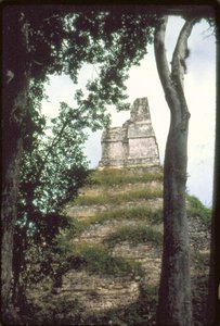 Templo das Inscrições, c. 700AD de Guatemalan School
