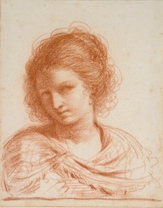 Chefe de uma Jovem Mulher, 1550-1666 de Guercino