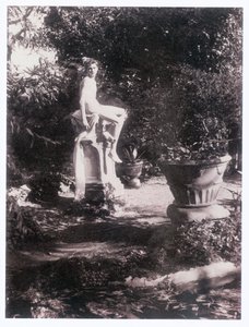 Fotógrafo (foto)