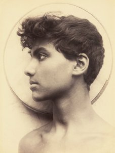 Imagem desconhecida de Guglielmo Plüschow
