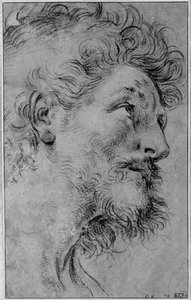 Cabeça de São Crispim de Guido Reni