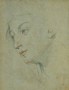 A cabeça de uma mulher olhando para a esquerda, de Guido Reni