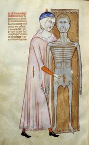 Medicina: anatomia e quadro cirúrgico representando uma cena de dissecação - Página retirada do manuscrito "Liber notabilium Philippi septimi francorum regis, a libris Galieni extractus" de Gui de Pavie