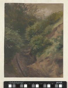 Estrada das dunas