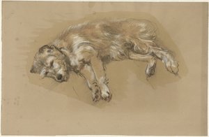 Cão reclinador