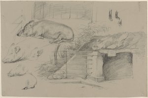 Folha de esboço com estudos de porcos no parque de javalis em Artis de Guillaume Anne van der Brugghen