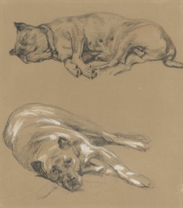 Dois estudos de um cão reclinável