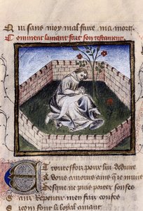 Representação de um jovem apaixonado no jardim das delícias descobrindo a fonte de Narciso, miniatura em "Roman de la Rose" de Guillaume Lorris