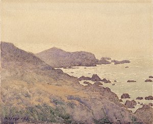 Costa californiana
