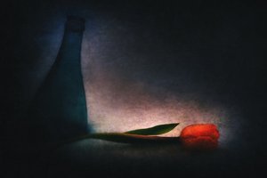 Tulipa e Garrafa Moody
