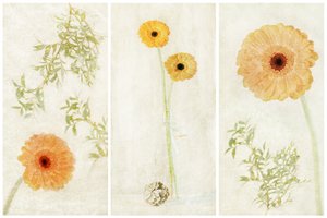 Tríptico Soft Gerbera