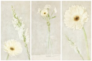 Flores brancas e delicadas