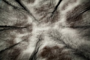 A Primeira Tempestade de Outono de Gustav Davidsson