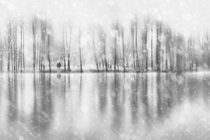 Reflexão de um casal no inverno