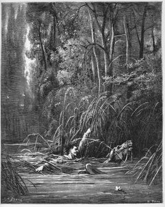 Le torrent et la rivière - A torrente e o rio - de 