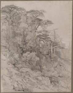 Árvores de uma encosta rochosa de Gustave Achille Guillaumet
