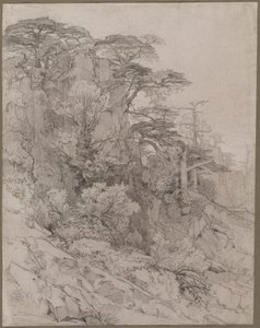 Trees of a Rocky Hillside, final do século XIX. de Gustave Achille Guillaumet