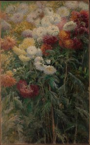 Crisântemos no jardim em Petit-Gennevilliers de Gustave Caillebotte