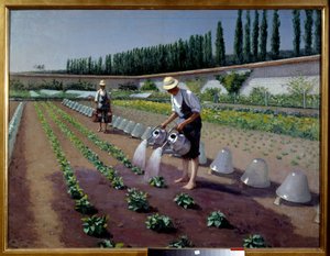 Os jardineiros. Dois homens com os seus regadores irrigam a sua plantação. Perto deles, sinos de vidro usados para cobrir as plantações. Pintura de Gustave Caillebotte (1848-1894) de Gustave Caillebotte