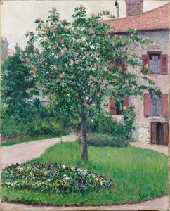 Árvore em Flor, 1882.
