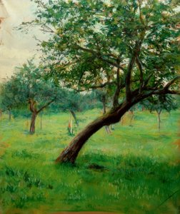Verger, também conhecido como Verger na Normandia de Gustave Caillebotte