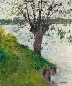 Salgueiro pelo rio; Saule au Bord de la Riviere, c. 1891 de Gustave Caillebotte