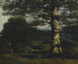 Árvore de cedro em Hauteville de Gustave Courbet