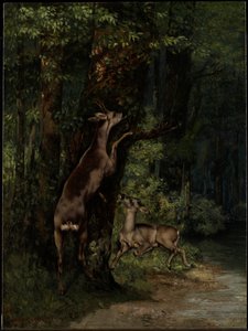 Veado na Floresta de Gustave Courbet