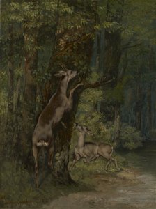 Francês: Cerfs dans la forêt Veados na floresta de Gustave Courbet