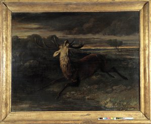 O veado tem água (caçando uma corrida) diz a força do veado (óleo sobre tela) de Gustave Courbet