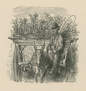 Um, homem, dirigindo, um, carreta, laden, com, plantas, e, flores de Gustave Dore