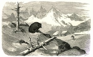 Gravura de Gustave Dore ilustrando o livro "Voyage aux Pyrenees d