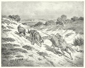 Gustave Dores Don Quixote: "Levando a bunda pelo cabresto, ele pegou o caminho mais próximo que podia adivinhar para a estrada alta" (gravura) de Gustave Dore