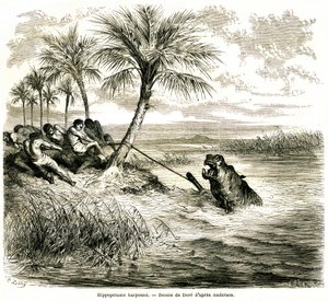 Caça no rio Teoghe, afluente do Ngami. Arpão de hipopótamo. Gravura de Gustave Dore ilustrando "les aventures et chasse du voyageur Charles-Jean Anderson dans l