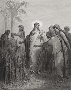 Jesus e seus discípulos no campo de milho, ilustração da "Bíblia Sagrada" de Dore, gravada por Pannemaker, 1866 de Gustave Dore