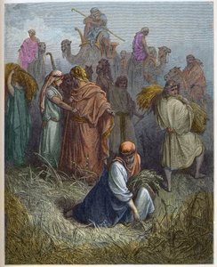 Ruth e Boaz (Booz) - Ruth trabalhando nos campos de Boaz (Boaz) (Ruth e Boaz) - - Gravura em "A ilustração bíblica" de Gustave Dore (1832-1883) - Gravura em "A Bíblia Dore de Gustave Dore
