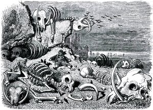 Sindbad, o marinheiro (Sinbad) - conto das mil e uma (1001) noites - ilustração de Gustave Dore - edição Maxwell 1865 - Sétima e última viagem: o cemitério dos elefantes onde Sindbad recuperará as defesas de marfim de Gustave Dore
