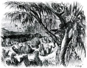 Sindbad, o marinheiro (Sinbad) - conto das mil e uma (1001) noites - ilustração de Gustave Dore - edição Maxwell 1865 - Sétima viagem: Sindbad, empoleirado numa árvore, puxa com o seu arco sobre elefantes de Gustave Dore