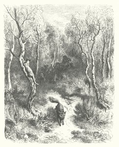 As Fábulas de La Fontaine: O Gato e a Raposa (gravura) de Gustave Dore