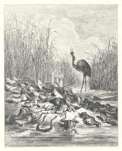 As Fábulas de La Fontaine: As rãs que pediram um rei (gravura) de Gustave Dore
