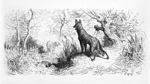 &39;O Lobo e o Cordeiro&39;, ilustração de &39;fábulas&39; de Jean de La Fontaine (1621-95) 1868 de Gustave Dore