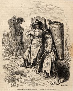 Os catadores de Xeres. Desenho de Gustave Dore (1832-1883), para ilustrar a sua viagem à Espanha em 1862, com Ch. Davillier. Gravura em "Le tour du monde", editado por Edouard Charton de Gustave Dore