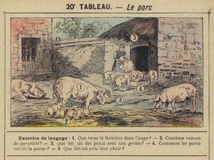 O porco (cor litho) de Gustave Fraipont