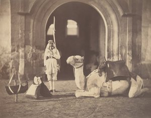 [Soldado e Camelo Militar], 1866. de Gustave Le Gray
